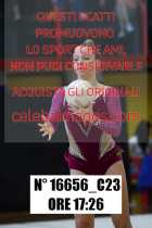 16656_C23