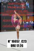 16657_C23