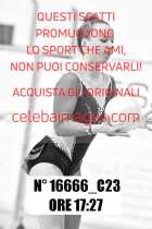 16666_C23