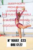 16667_C23