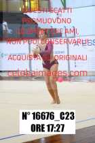 16676_C23