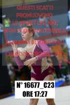 16677_C23