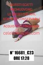 16681_C23