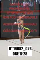 16682_C23
