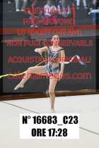 16683_C23