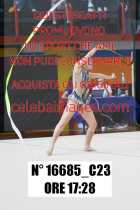 16685_C23