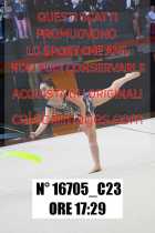 16705_C23