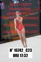 16742_C23