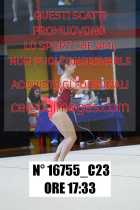 16755_C23