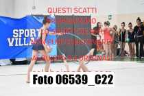 06539_C22