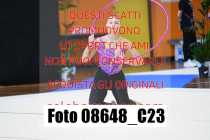 08648_C23