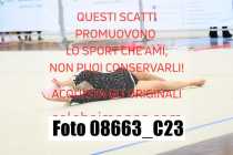 08663_C23