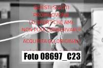 08697_C23