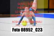 08952_C23
