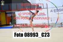 08993_C23