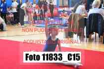 11833_C15