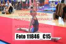 11846_C15