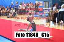 11848_C15