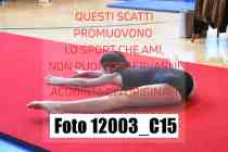 12003_C15