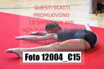 12004_C15