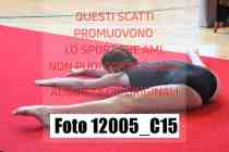 12005_C15