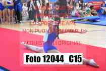 12044_C15