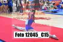 12045_C15