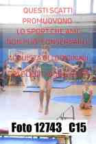 12743_C15