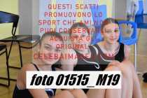 01515_M19