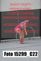 15299_C22