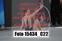 15434_C22
