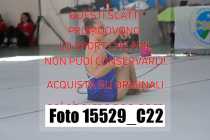 15529_C22