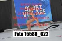15580_C22