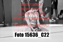 15636_C22