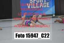 15947_C22
