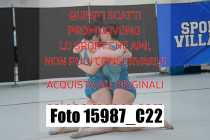 15987_C22