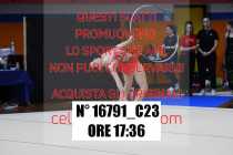 16791_C23