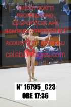 16795_C23