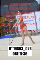16803_C23