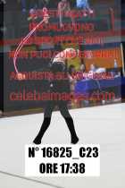 16825_C23