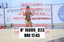 16889_C23