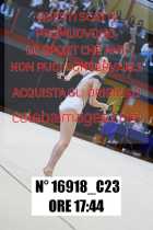 16918_C23