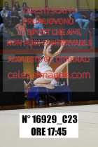 16929_C23