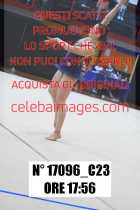 17096_C23