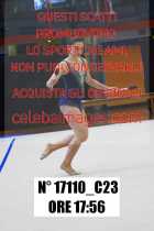 17110_C23