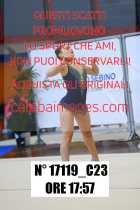 17119_C23