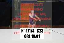 17174_C23