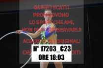 17203_C23