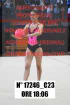 17246_C23