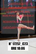 17257_C23